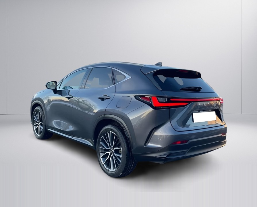 Lexus Seria NX 450h+ AWD (5)