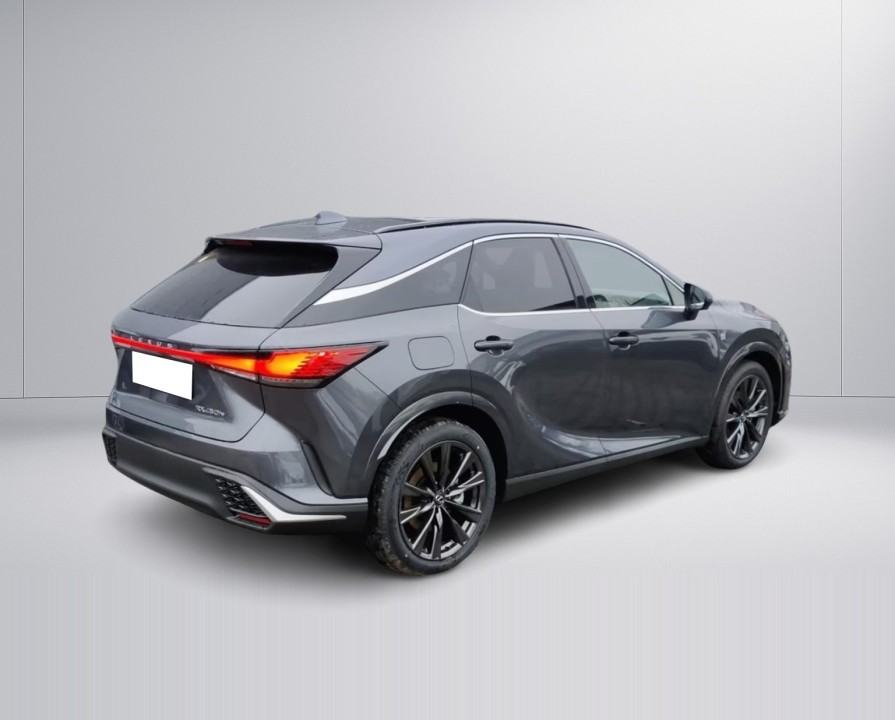 Lexus Seria RX 450h+ F Sport (3)