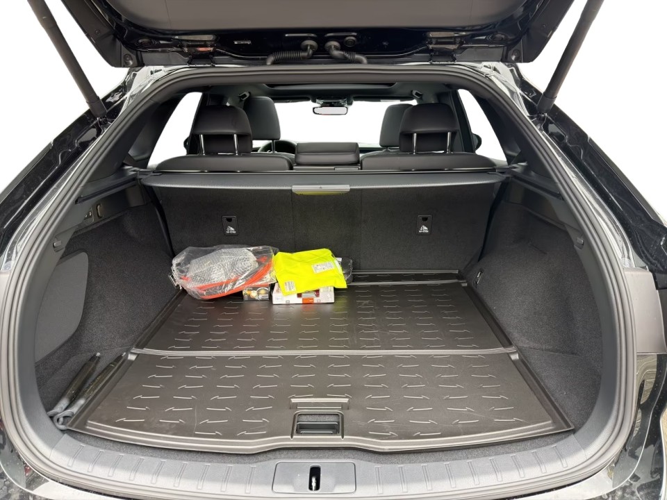 Lexus Seria RX 450h+ F Sport - foto 13