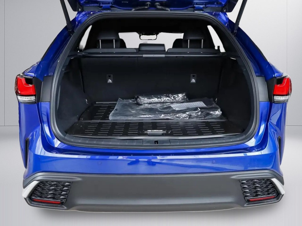 Lexus Seria RX 350h F Sport - foto 15