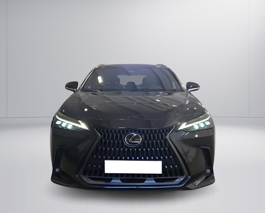 Lexus Seria NX 450h+ Executive (2)