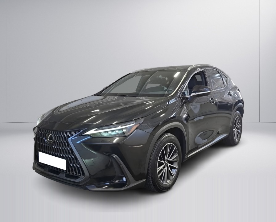 Lexus Seria NX 450h+ Executive (3)