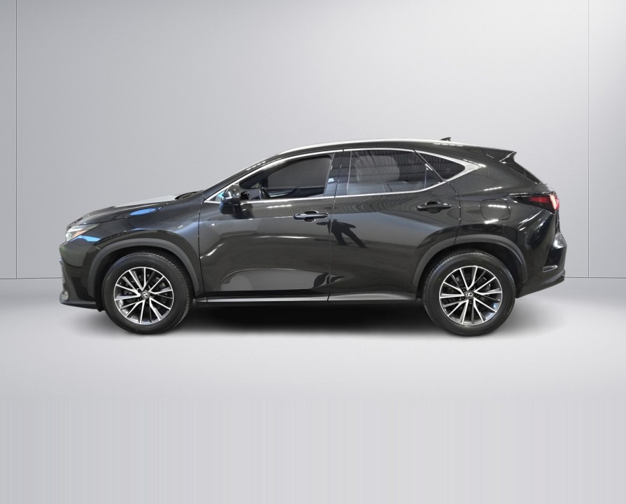 Lexus Seria NX 450h+ Executive (4)