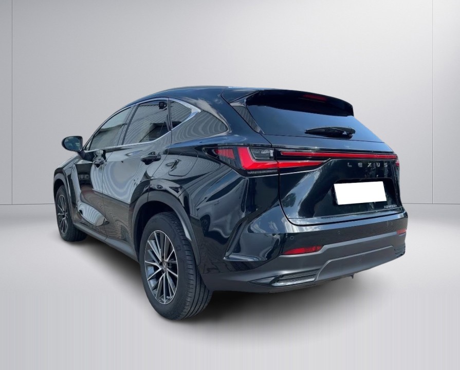 Lexus Seria NX 450h+ (3)