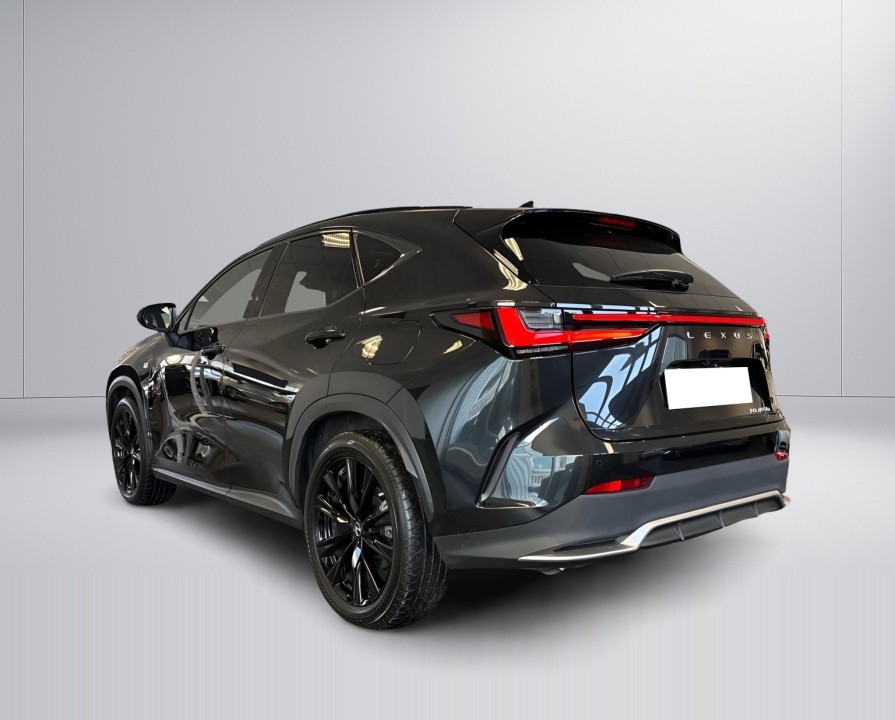 Lexus Seria NX 450h+ F-Sport (5)