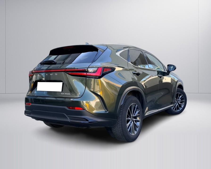 Lexus Seria NX 350h Executive Line (4)