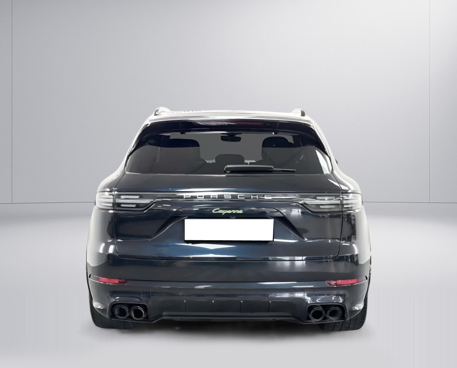 Porsche Cayenne E-Hybrid Platinum Edition (3)