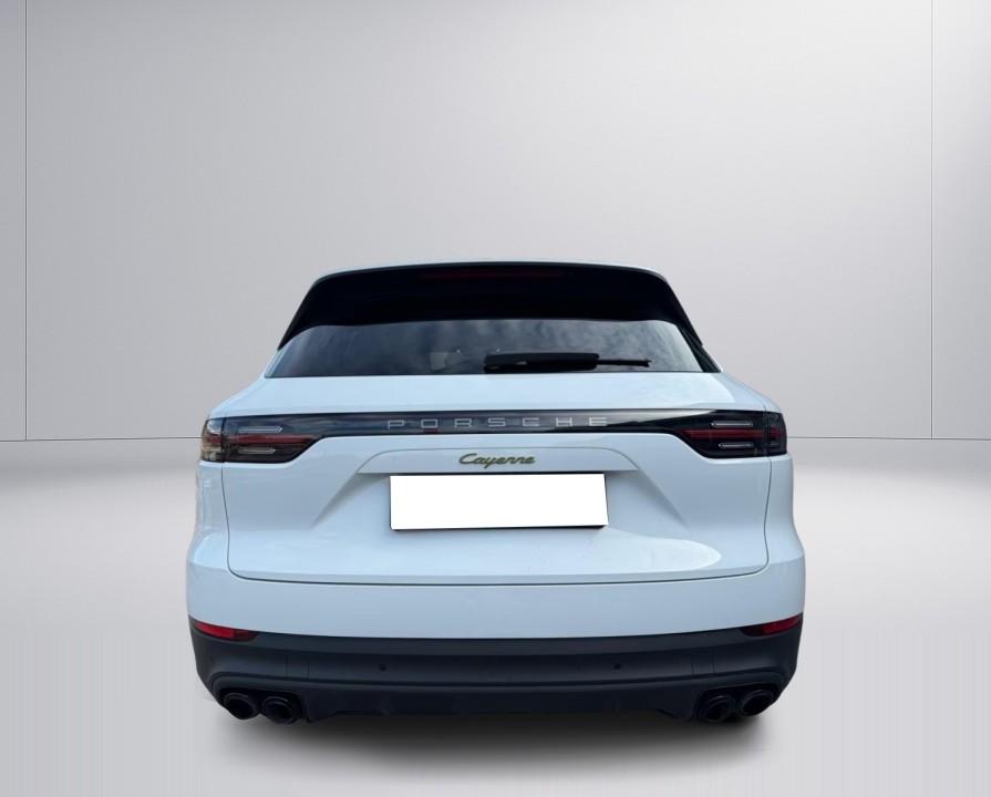 Porsche Cayenne E-Hybrid Platinum Edition (4)