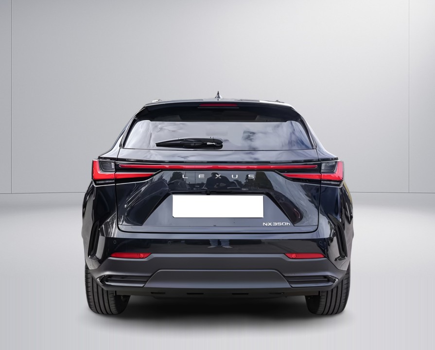 Lexus Seria NX 350h (4)