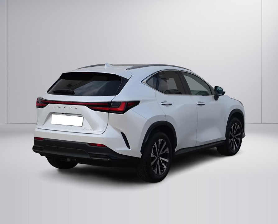 Lexus Seria NX 350h Executive (3)