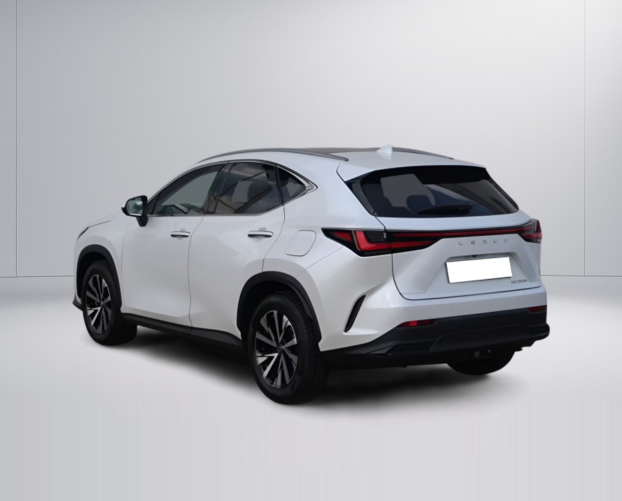 Lexus Seria NX 350h Executive (5)