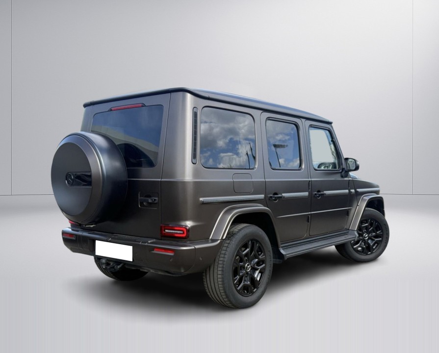 Mercedes-Benz G 450d (2)