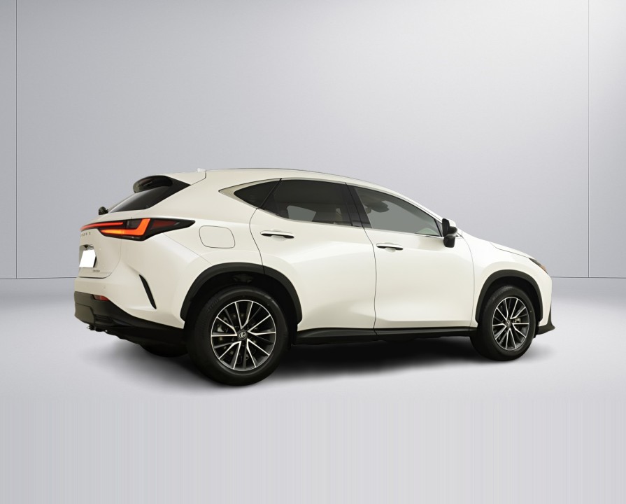 Lexus Seria NX Lexus NX 450h+ AWD Luxury (2)