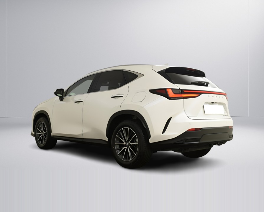 Lexus Seria NX Lexus NX 450h+ AWD Luxury (4)