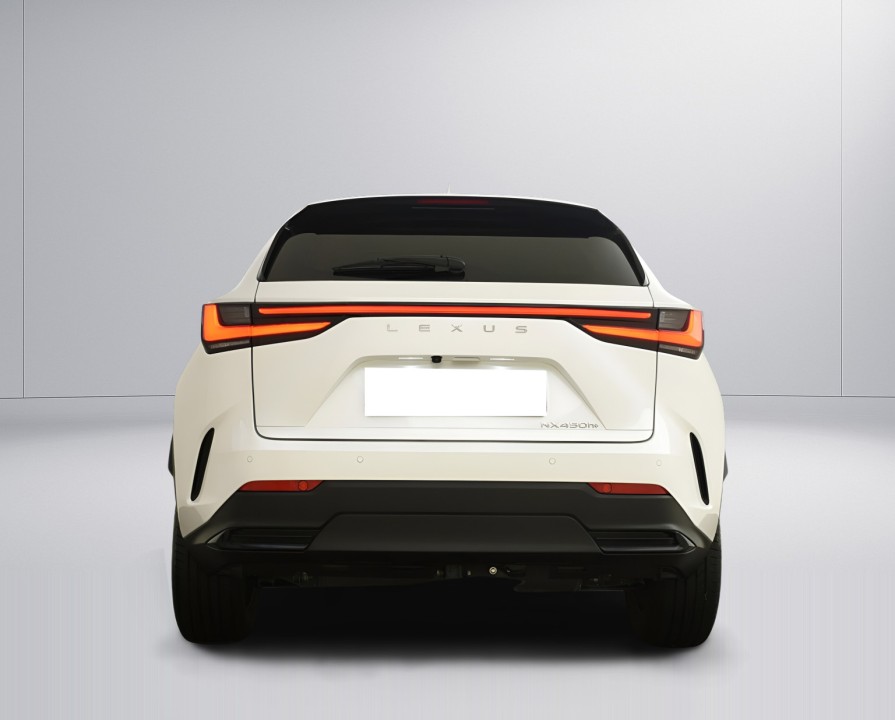 Lexus Seria NX Lexus NX 450h+ AWD Luxury (3)