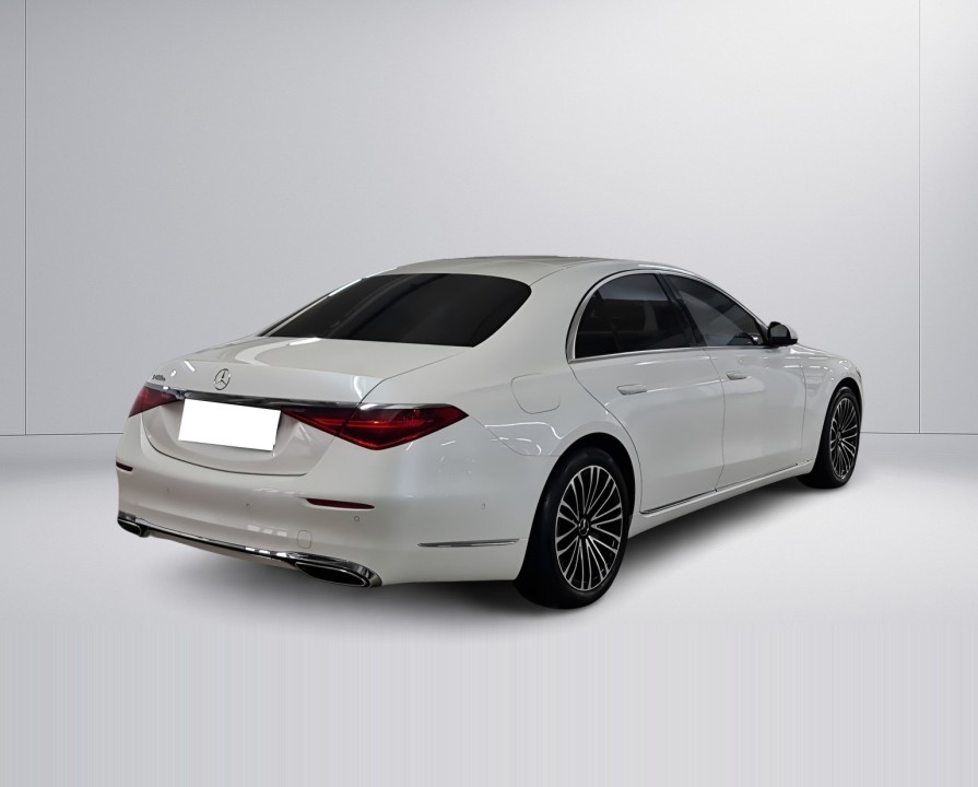 Mercedes-Benz S 450e (3)