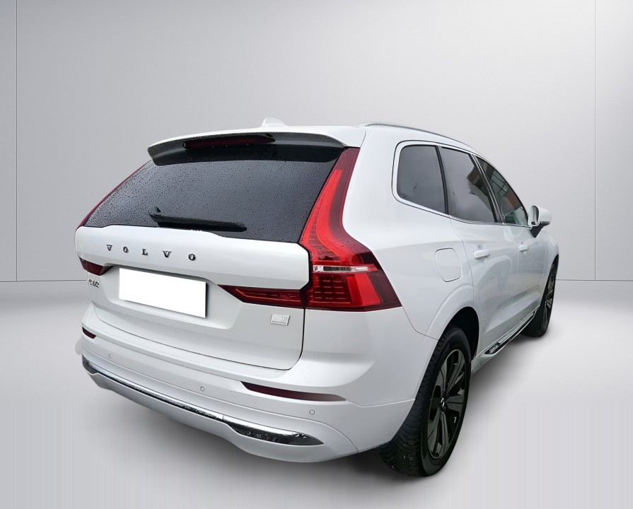 Volvo XC 60 T8 Plus Bright Recharge (3)