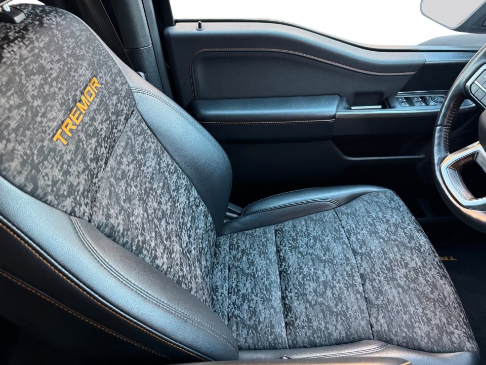 Ford F150 - foto 18