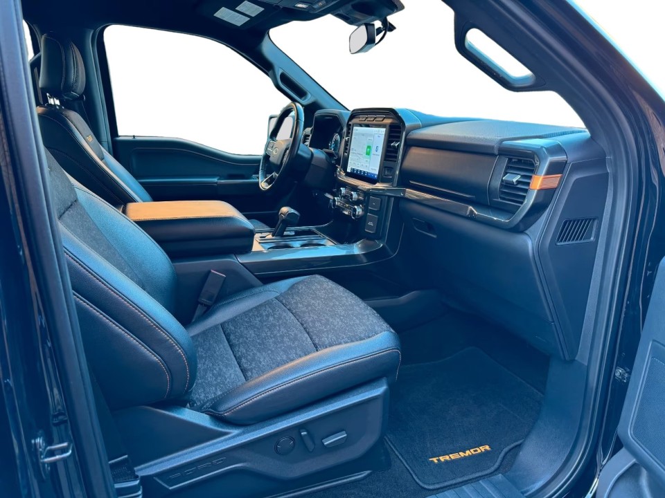 Ford F150 - foto 10