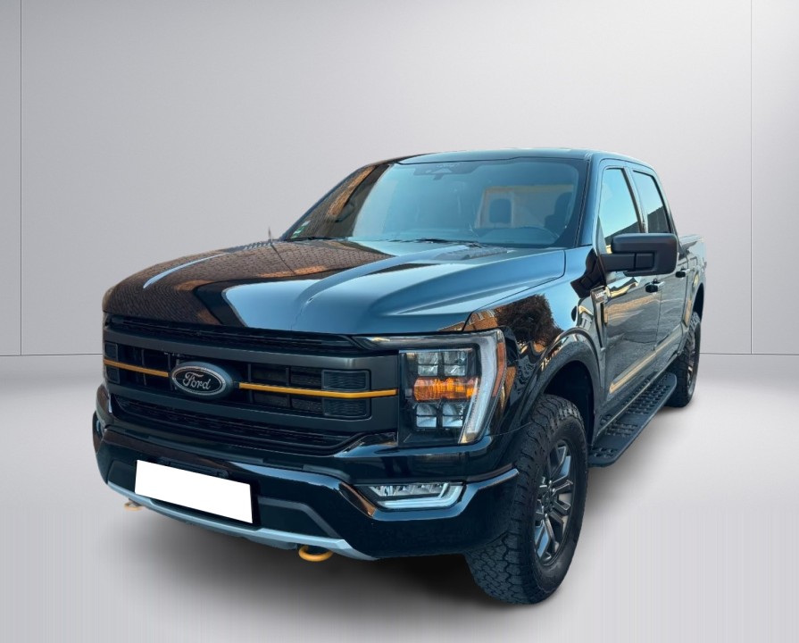Ford F150 (5)