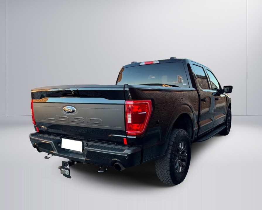 Ford F150 (2)