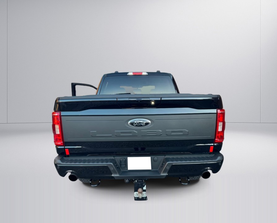 Ford F150 (3)