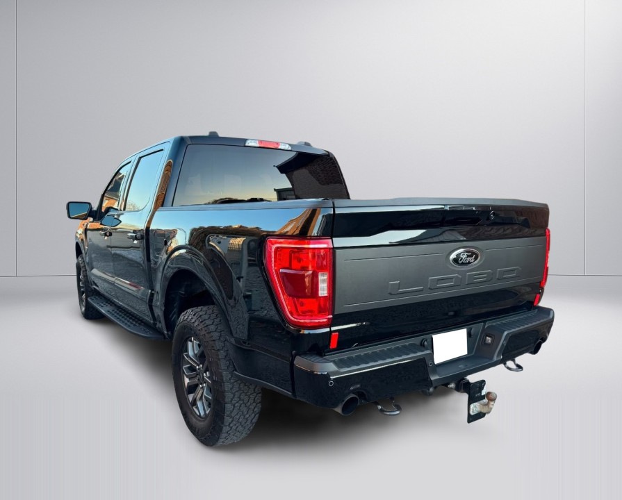 Ford F150 (4)
