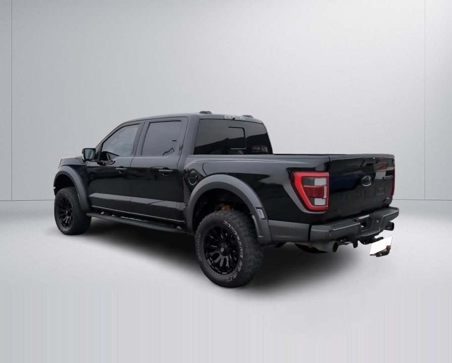 Ford F150 Raptor (4)