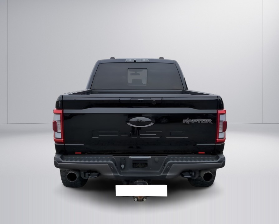 Ford F150 Raptor (3)