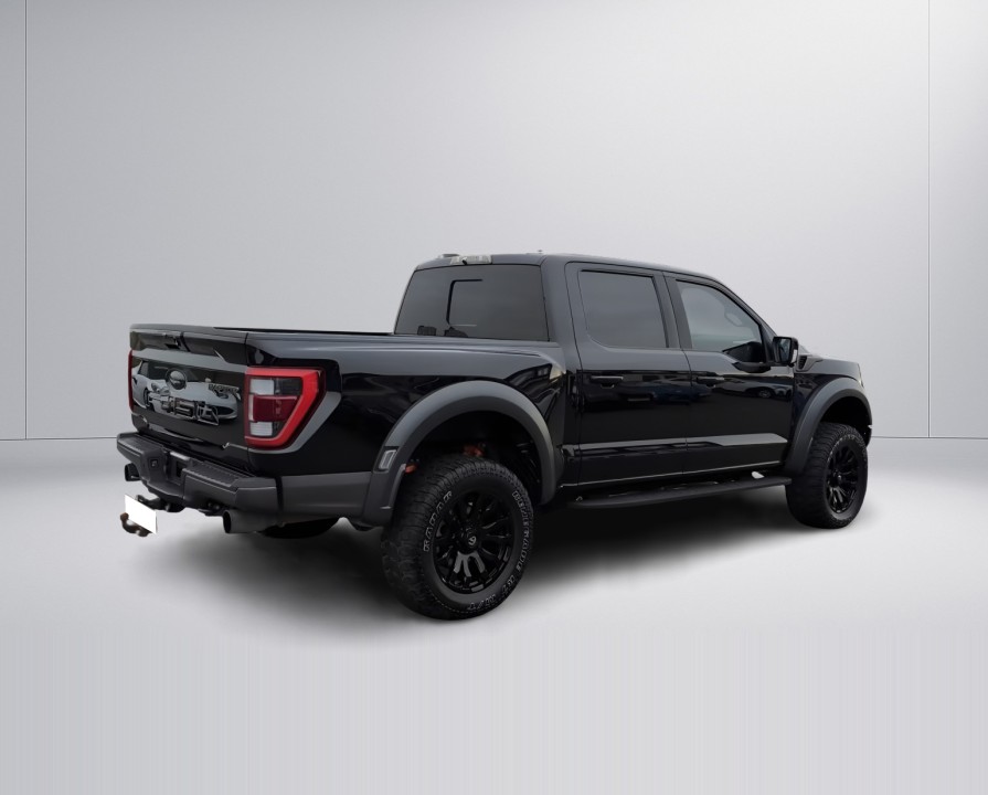 Ford F150 Raptor (2)