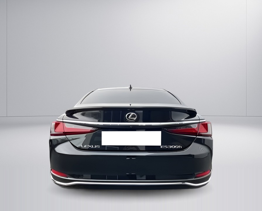 Lexus Seria ES 300h Business Line (4)