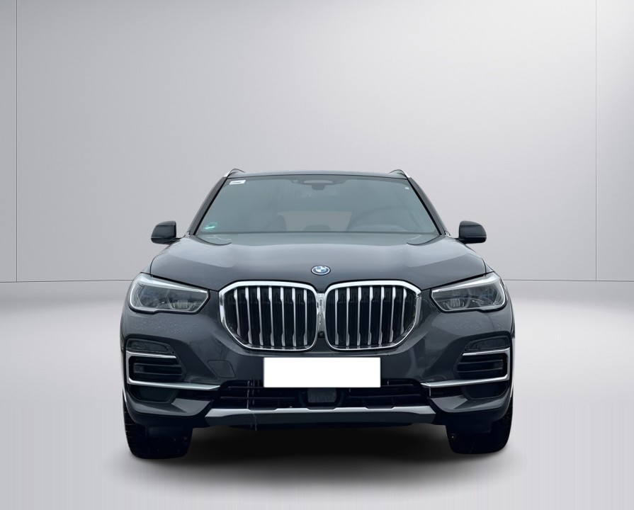 BMW X5 xDrive45e xLine (5)