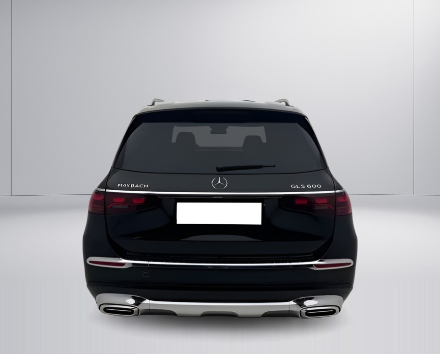 Mercedes-Benz GLS Maybach 600 4MATIC (3)