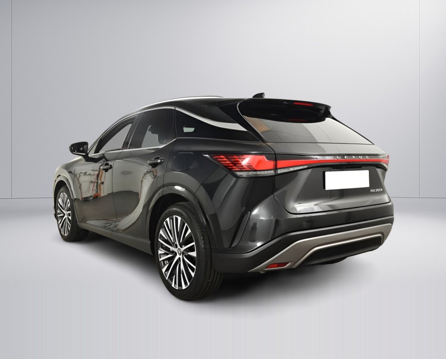 Lexus Seria RX 350h AWD Executive (3)