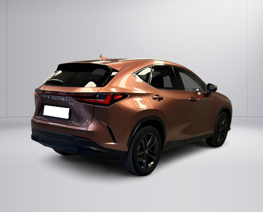 Lexus Seria NX 450h+ AWD Prestige (3)