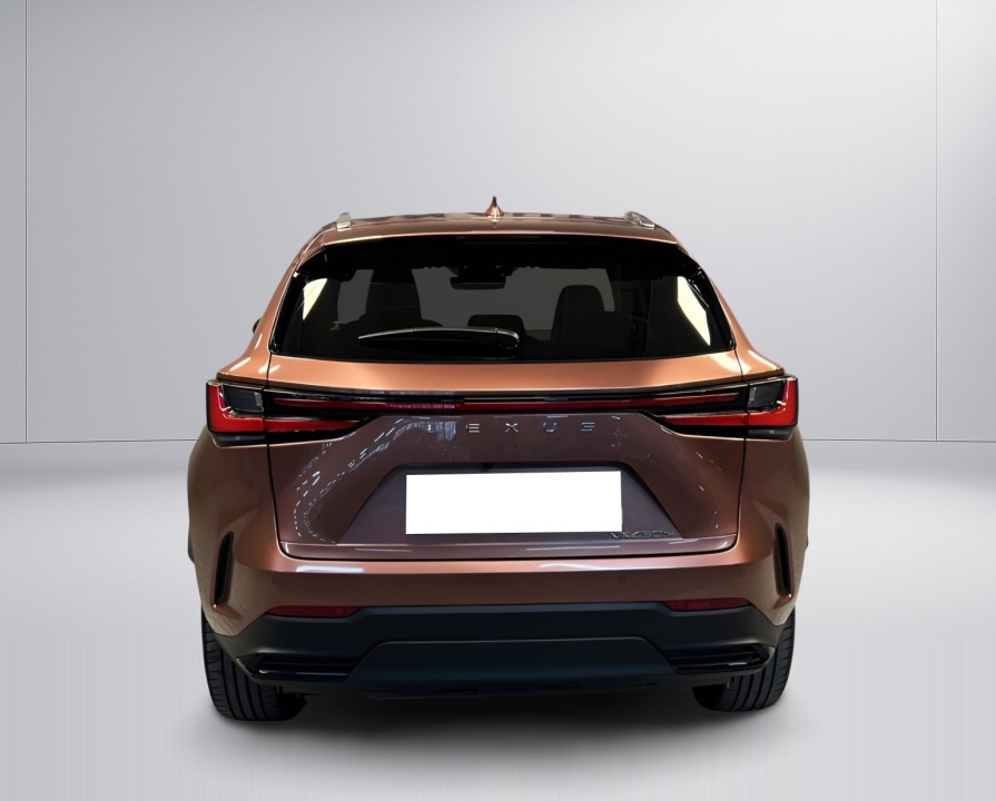 Lexus Seria NX 450h+ AWD Prestige (4)
