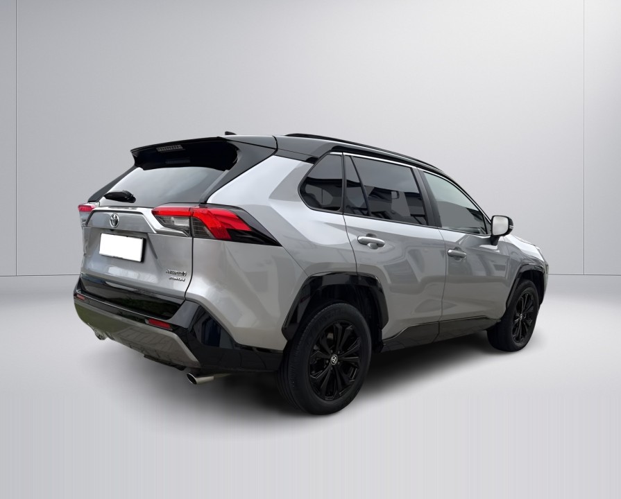 Toyota RAV4 (2)