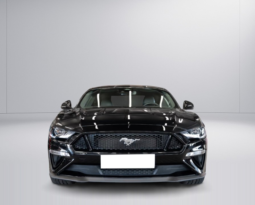 Ford Mustang GT 5.0 V8 Coupe (3)
