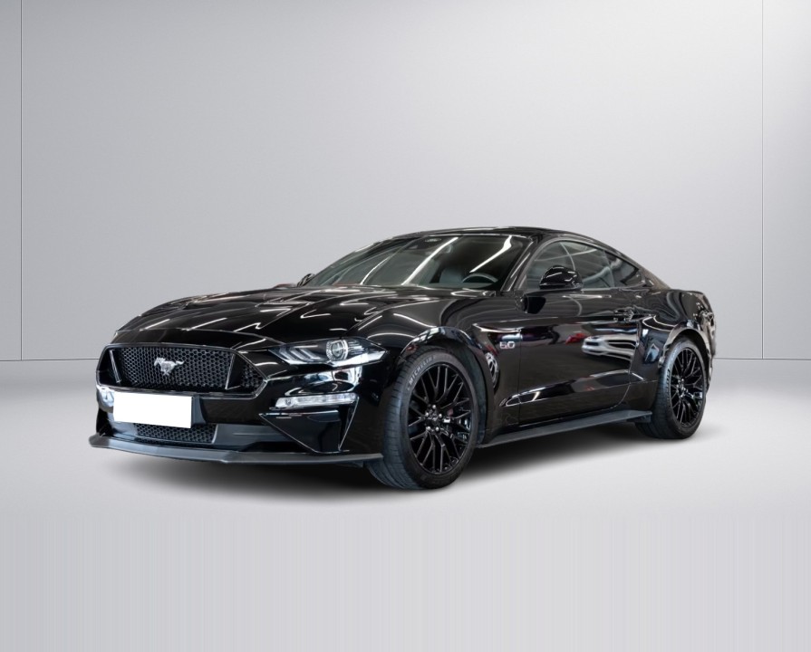 Ford Mustang GT 5.0 V8 Coupe (2)