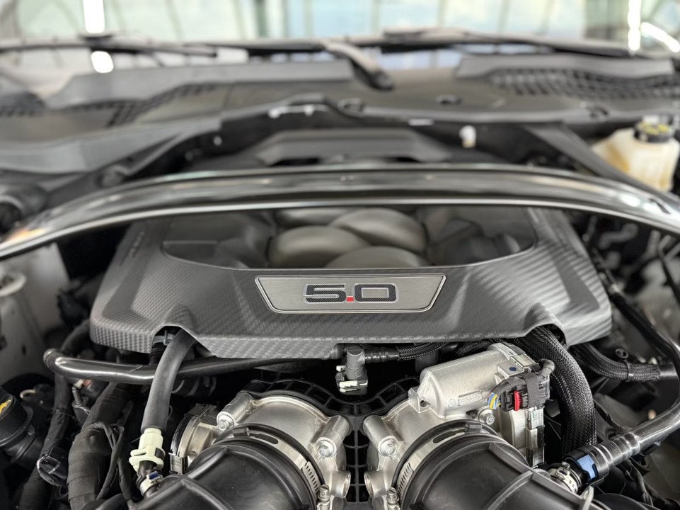 Ford Mustang GT V8 Fastback - foto 24