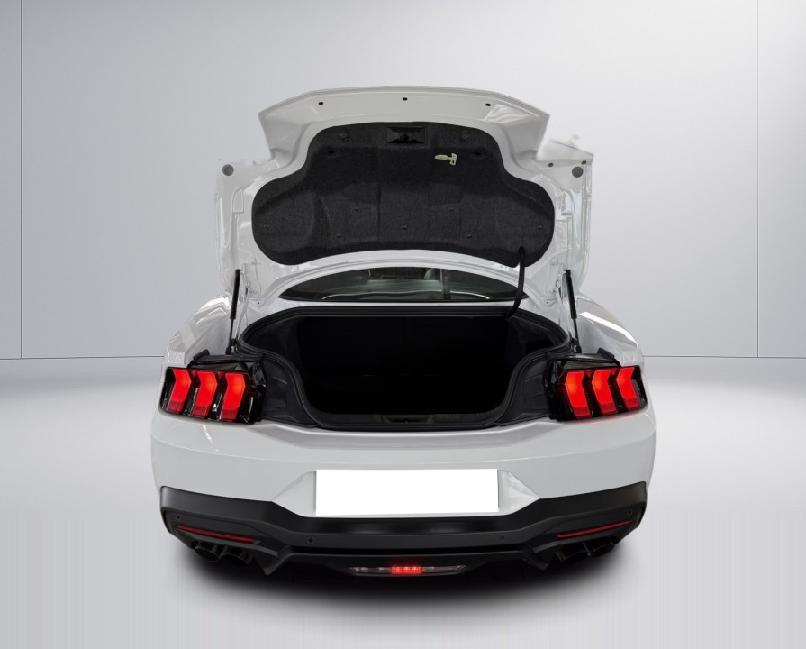 Ford Mustang GT V8 Fastback - foto 21