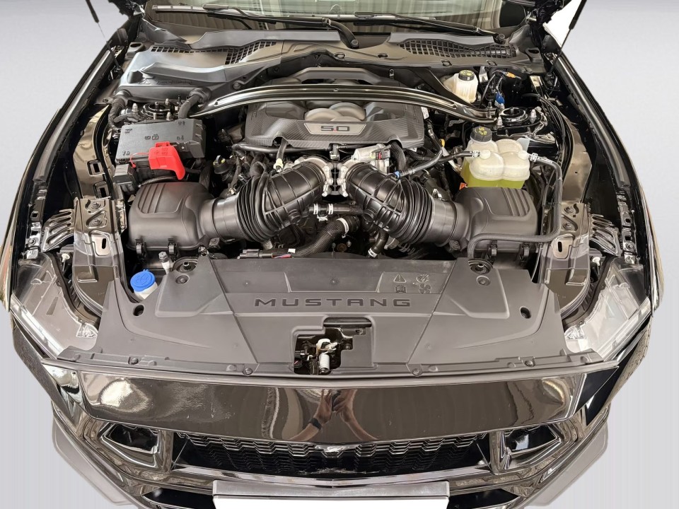 Ford Mustang 5.0 V8 GT - foto 33