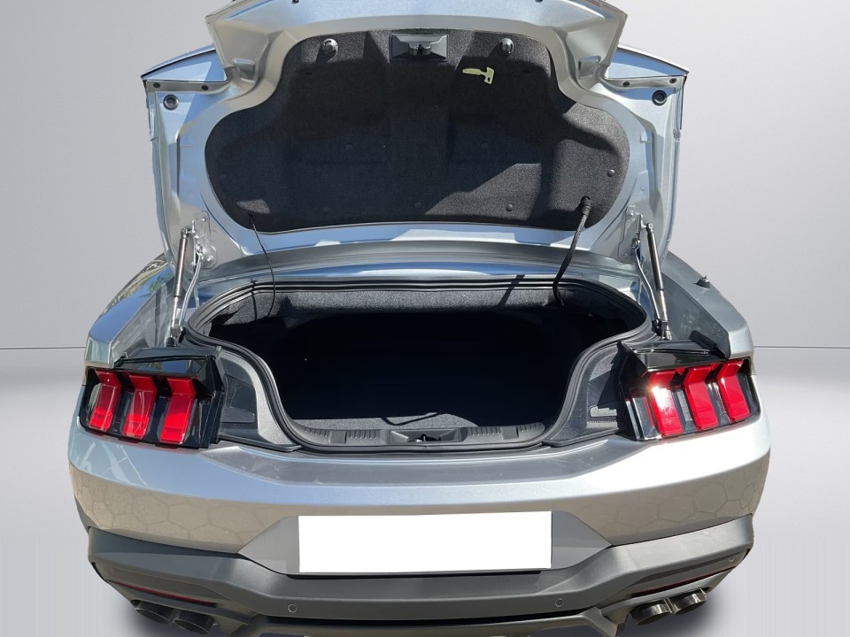 Ford Mustang GT Cabriolet GT - foto 23
