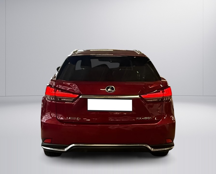 Lexus Seria RX 450h AWD Style Edition (4)
