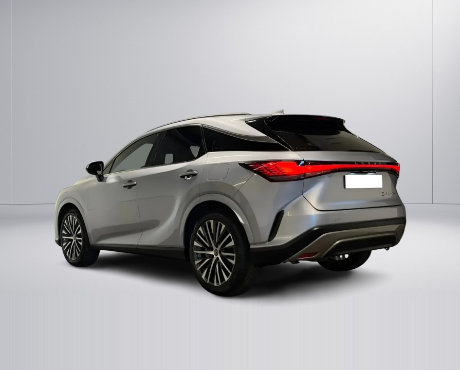 Lexus Seria RX 450h+ Luxury (5)