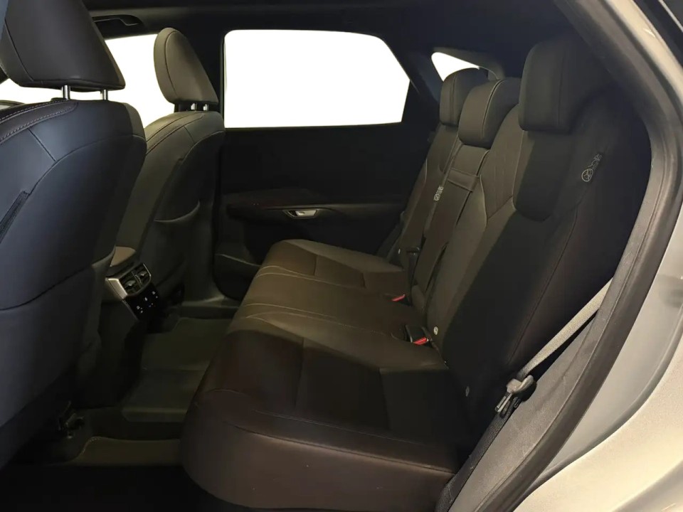 Lexus Seria RX 450h+ Luxury - foto 21