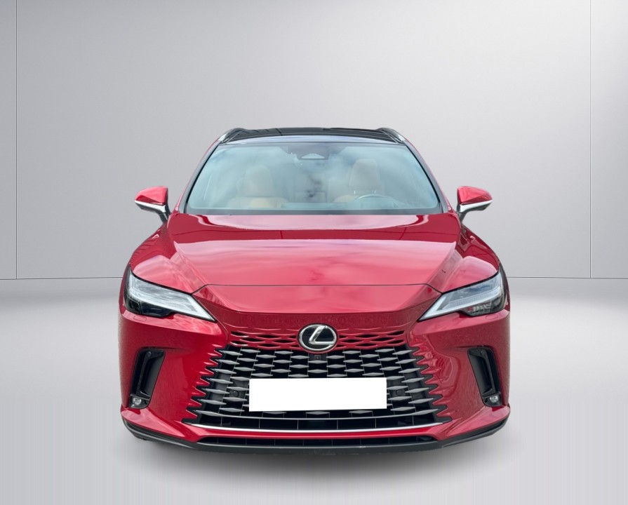Lexus Seria RX 450h+ E-Four Executive - foto 13