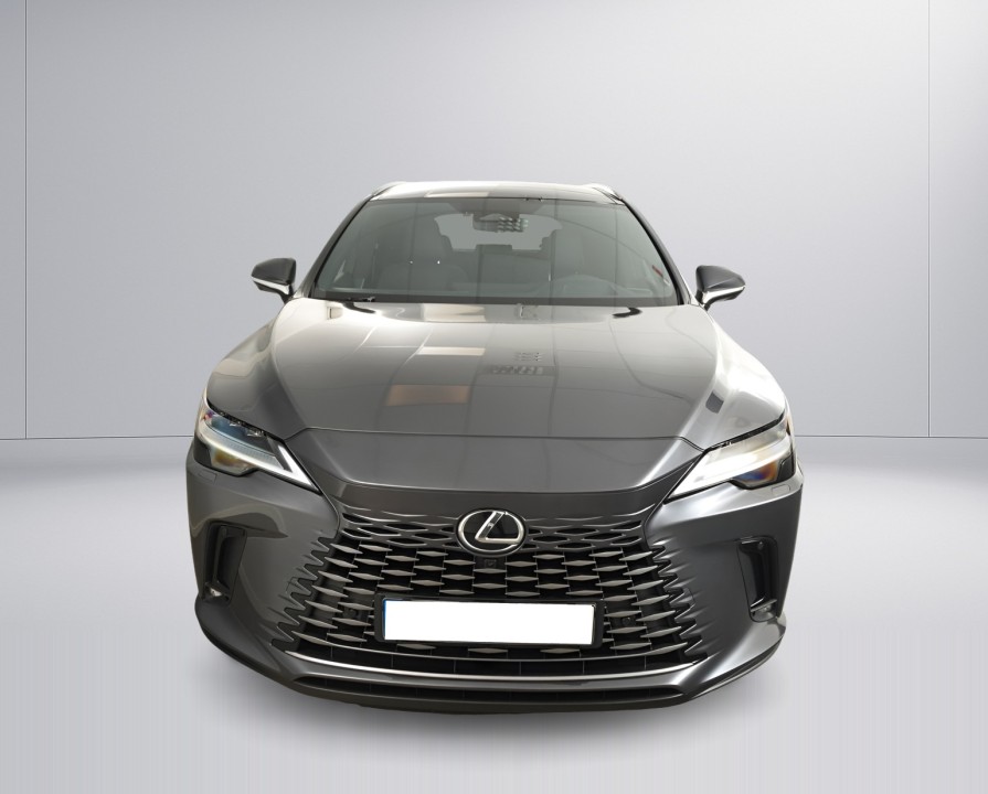 Lexus Seria RX 450h+ Luxury (2)