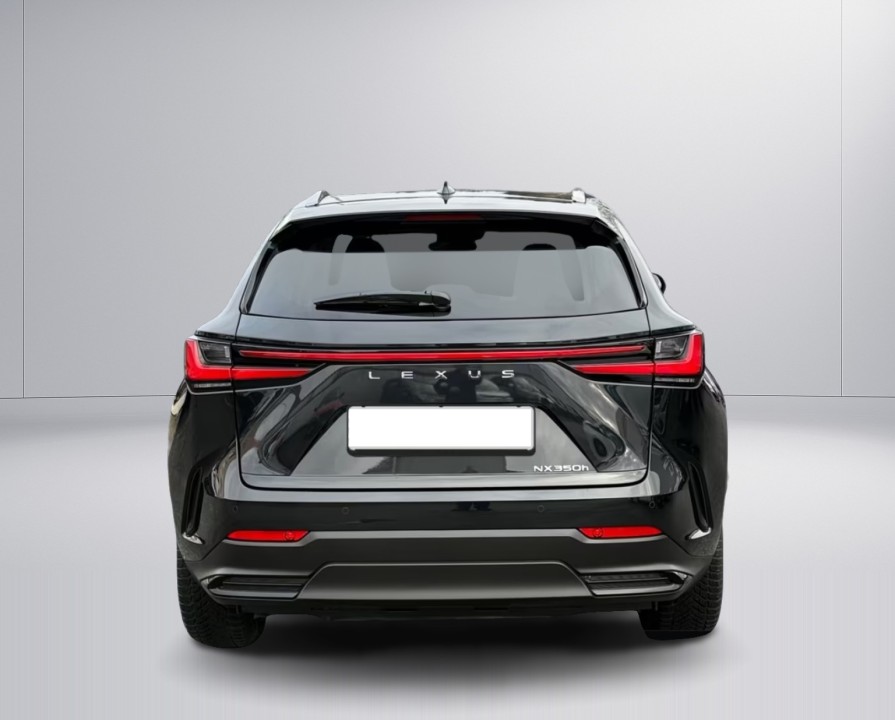 Lexus Seria NX 350h FWD Executive Line (4)