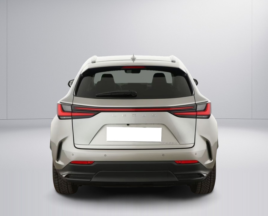 Lexus Seria NX 450h+ (4)